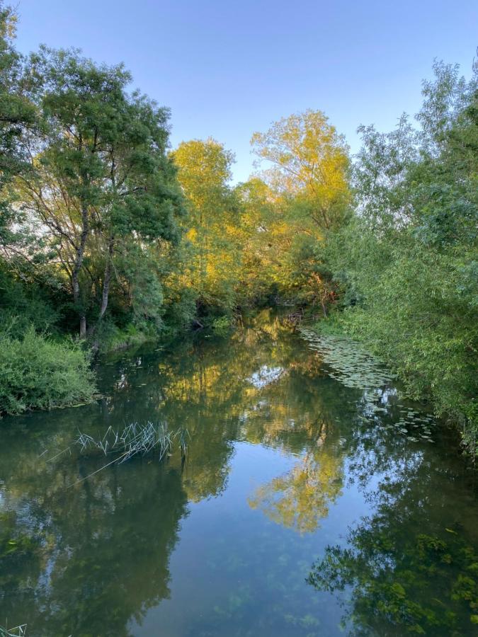 Studio Indre Climatise, La Halte De Cuze, Aux Abords De La Loire A Velo Huismes Екстер'єр фото