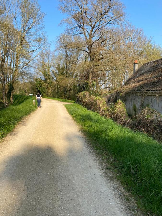 Studio Indre Climatise, La Halte De Cuze, Aux Abords De La Loire A Velo Huismes Екстер'єр фото