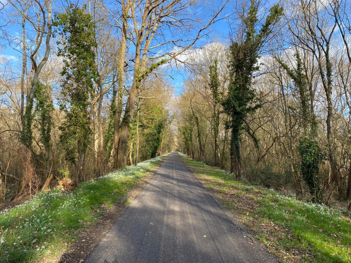 Studio Indre Climatise, La Halte De Cuze, Aux Abords De La Loire A Velo Huismes Екстер'єр фото